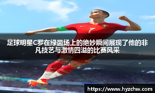 365WM完美体育官网